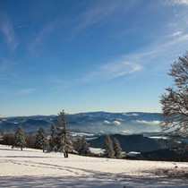 Natur | Schwarzwald | Kandel (Blick auf den Feldberg)
