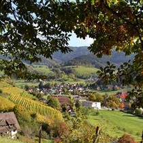 Natur | Schwarzwald | Glottertal
