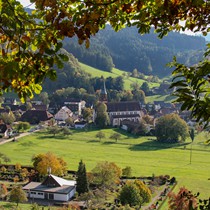 Natur | Schwarzwald | Glottertal
