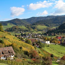 Natur | Schwarzwald | Glottertal
