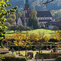 Natur | Schwarzwald | Glottertal
