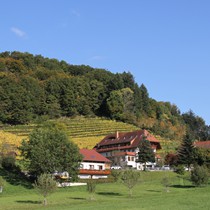 Natur | Schwarzwald | Glottertal
