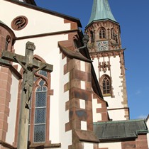 Natur | Schwarzwald | Glottertal
