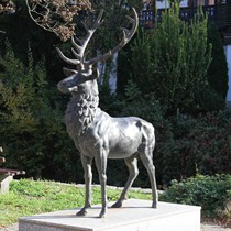 Natur | Schwarzwald | Glottertal
