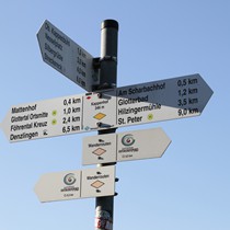 Natur | Schwarzwald | Glottertal | Ideal zum Wandern
