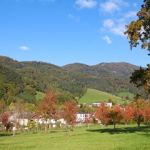 Natur | Schwarzwald | Glottertal
