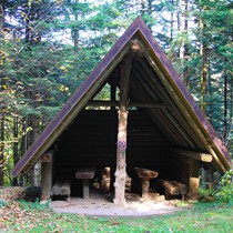 Natur | Schwarzwald | Glottertal
