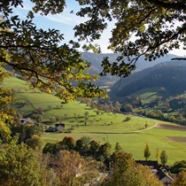 Natur | Schwarzwald | Glottertal
