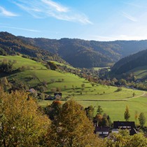 Natur | Schwarzwald | Glottertal
