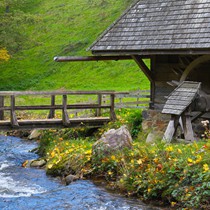 Natur | Schwarzwald | Glottertal | Hilzingermühle
