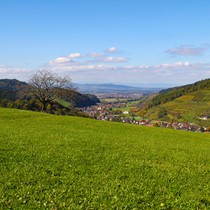 Natur | Schwarzwald | Glottertal
