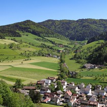 Natur | Schwarzwald | Glottertal
