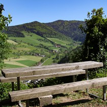 Natur | Schwarzwald | Glottertal
