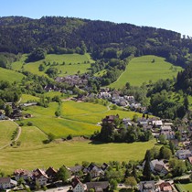 Natur | Schwarzwald | Glottertal
